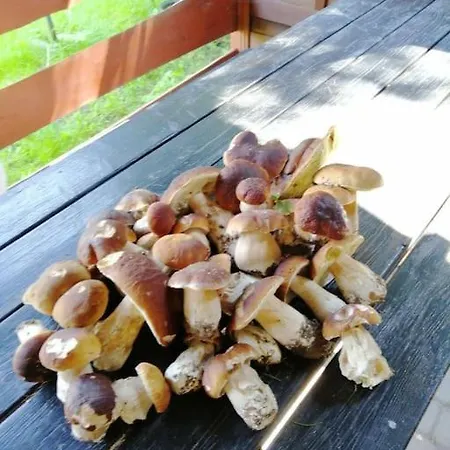 Wodna Ostoja Z Kominkiem Nad Jeziorem Selment Buczki