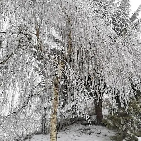 公寓 Wodna Ostoja Z Kominkiem Nad Jeziorem Selment *