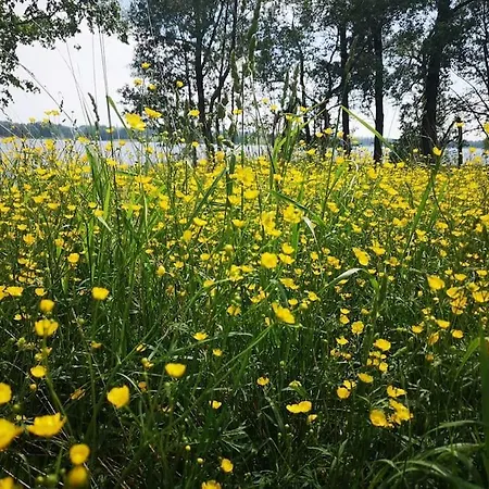 Wodna Ostoja Z Kominkiem Nad Jeziorem Selment *