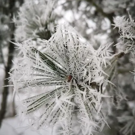 Wodna Ostoja Z Kominkiem Nad Jeziorem Selment