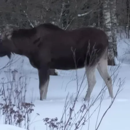 Wodna Ostoja Z Kominkiem Nad Jeziorem Selment