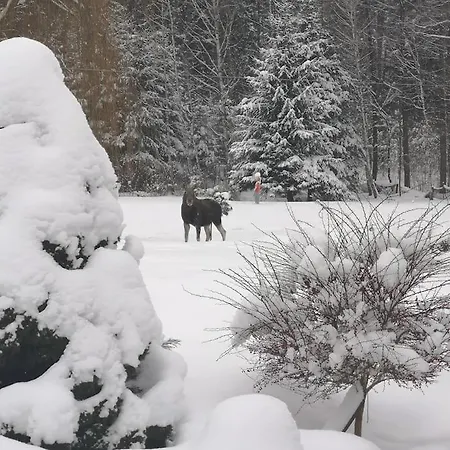 アパート Wodna Ostoja Z Kominkiem Nad Jeziorem Selment