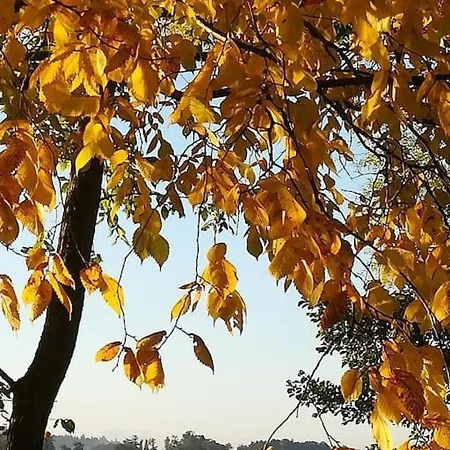 Wodna Ostoja Z Kominkiem Nad Jeziorem Selment 公寓