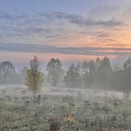 公寓 Wodna Ostoja Z Kominkiem Nad Jeziorem Selment