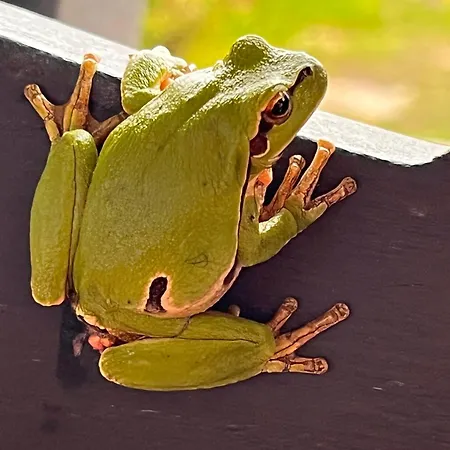 Wodna Ostoja Z Kominkiem Nad Jeziorem Selment * Buczki