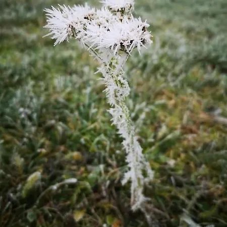 Wodna Ostoja Z Kominkiem Nad Jeziorem Selment 公寓