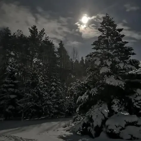 Wodna Ostoja Z Kominkiem Nad Jeziorem Selment 公寓 *