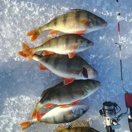 Wodna Ostoja Z Kominkiem Nad Jeziorem Selment *