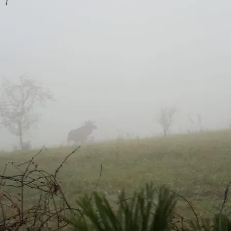 Wodna Ostoja Z Kominkiem Nad Jeziorem Selment 公寓 *