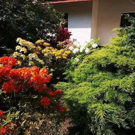 公寓 Wodna Ostoja Z Kominkiem Nad Jeziorem Selment *