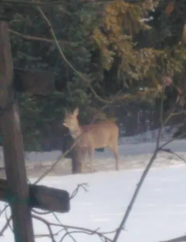 Wodna Ostoja Z Kominkiem Nad Jeziorem Selment Apartment Buczki