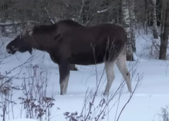 Wodna Ostoja Z Kominkiem Nad Jeziorem Selment