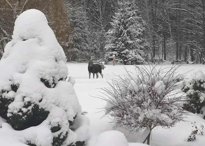 Apartment Wodna Ostoja Z Kominkiem Nad Jeziorem Selment