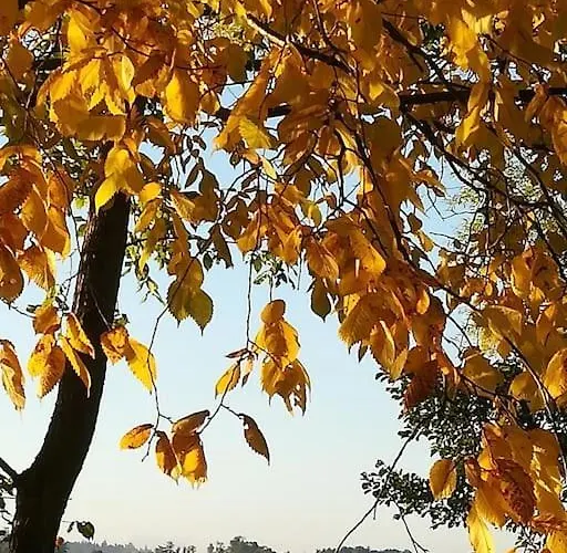 Wodna Ostoja Z Kominkiem Nad Jeziorem Selment Apartment