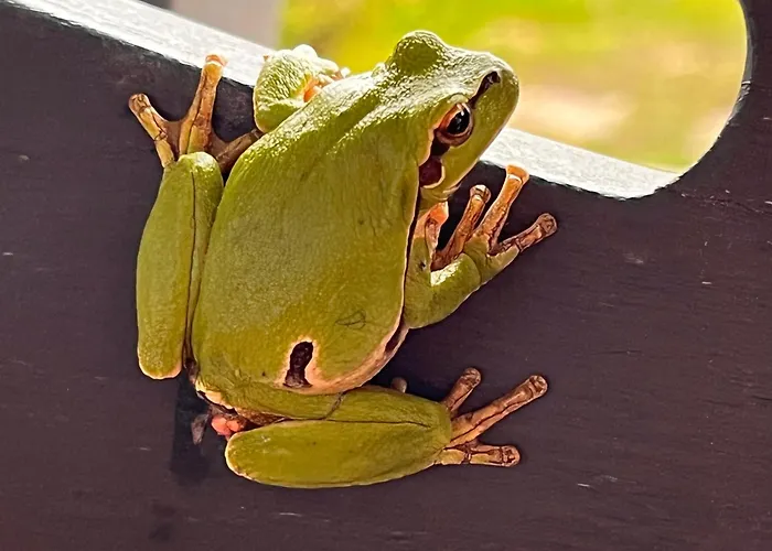 Wodna Ostoja Z Kominkiem Nad Jeziorem Selment * Buczki