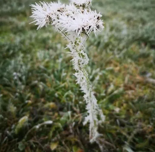 Wodna Ostoja Z Kominkiem Nad Jeziorem Selment Apartment