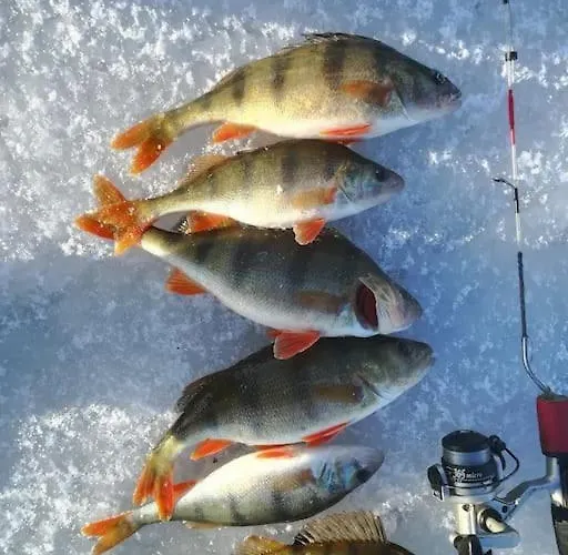 Wodna Ostoja Z Kominkiem Nad Jeziorem Selment *