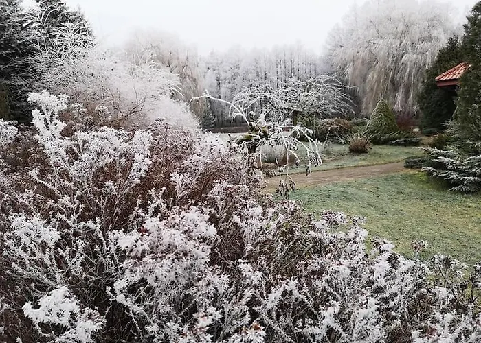 Apartment Wodna Ostoja Z Kominkiem Nad Jeziorem Selment Buczki