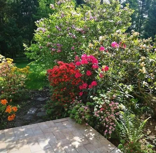 Wodna Ostoja Z Kominkiem Nad Jeziorem Selment Apartment *