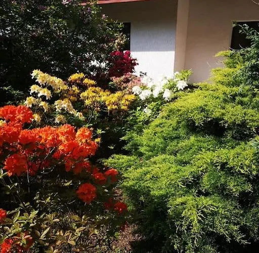 Apartment Wodna Ostoja Z Kominkiem Nad Jeziorem Selment *